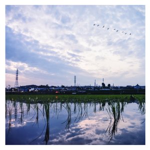 猛操伪娘臭婊子
